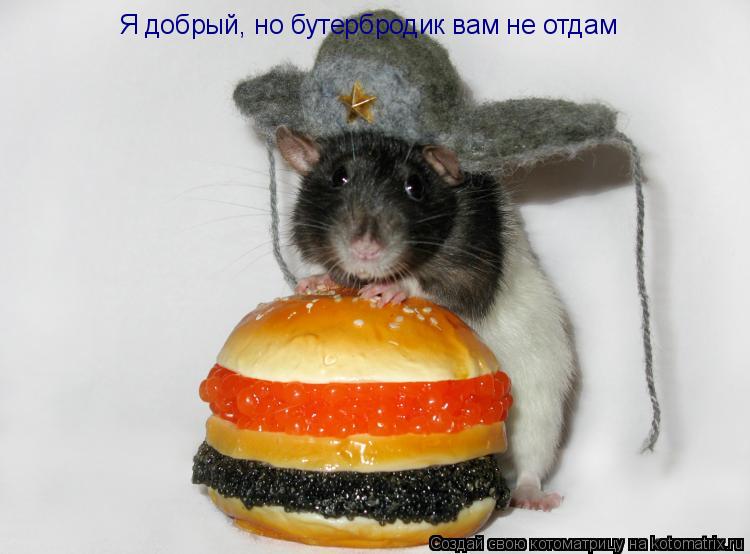 Я добрый, но бутербродик вам не отдам... Котоматрица: Я добрый, но бутербродик вам не отдам