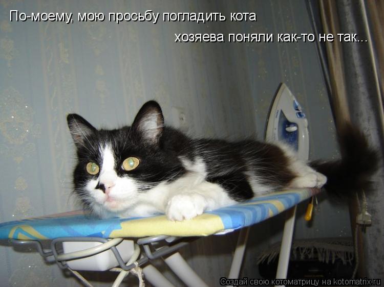 По-моему, мою просьбу погладить кота хозяева поняли как-то не так...... Котоматрица: По-моему, мою просьбу погладить кота хозяева поняли как-то не так...