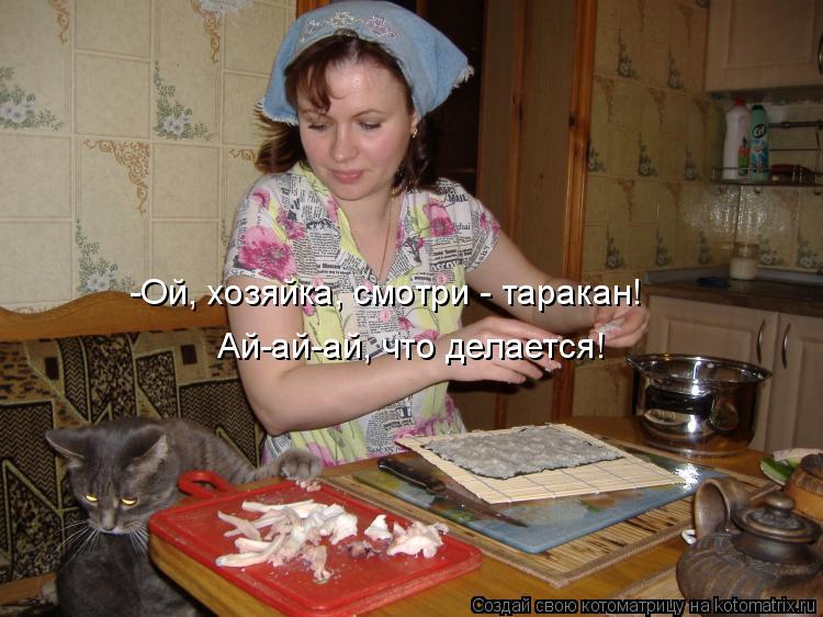 -Ой, хозяйка, смотри - таракан! Ай-ай-ай, что делается!... Котоматрица: -Ой, хозяйка, смотри - таракан! Ай-ай-ай, что делается!