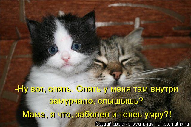 -Ну вот, опять. Опять у меня там внутри замурчало, слышышь? Мама, я что, заболел и тепеь умру?!... Котоматрица: -Ну вот, опять. Опять у меня там внутри замурчало, слышышь? Мама, я что, заболел и тепеь умру?!
