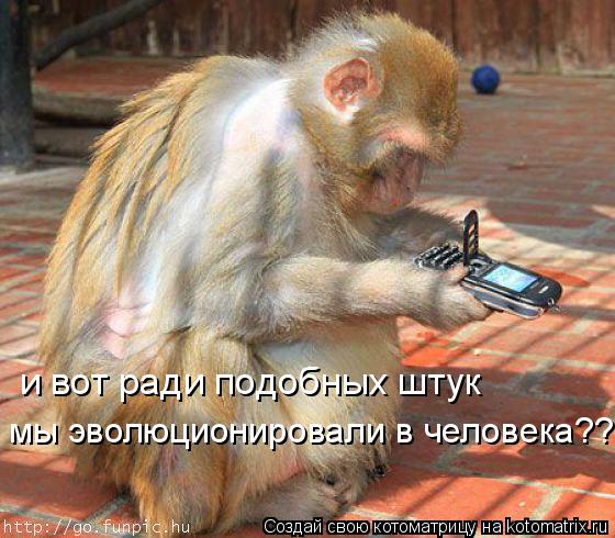 и вот ради подобных штук мы эволюционировали в человека??... Котоматрица: и вот ради подобных штук мы эволюционировали в человека??