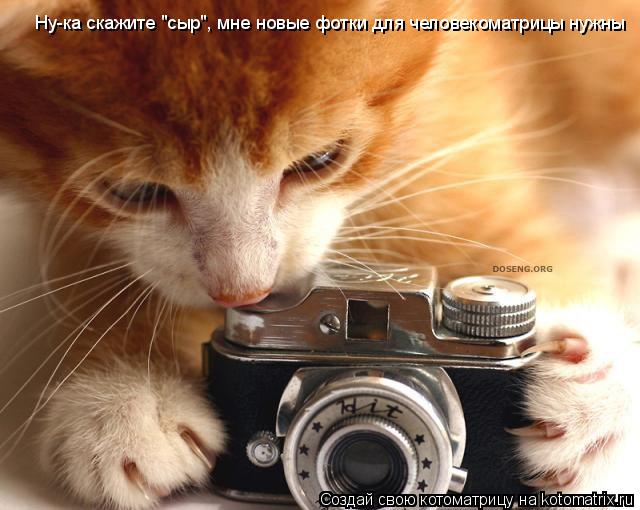 Ну-ка скажите "сыр", мне новые фотки для человекоматрицы нужны... Котоматрица: Ну-ка скажите "сыр", мне новые фотки для человекоматрицы нужны