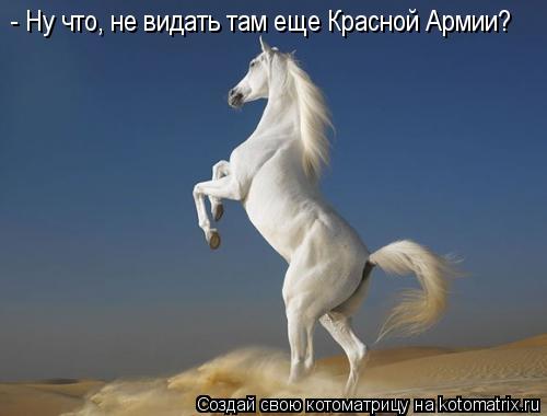 - Ну что, не видать там еще Красной Армии?... Котоматрица: - Ну что, не видать там еще Красной Армии?