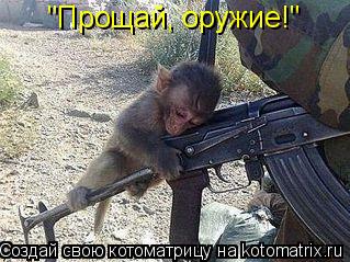 "Прощай, оружие!"... Котоматрица: "Прощай, оружие!"