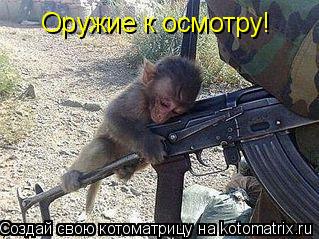 Котоматрица: Оружие к осмотру!