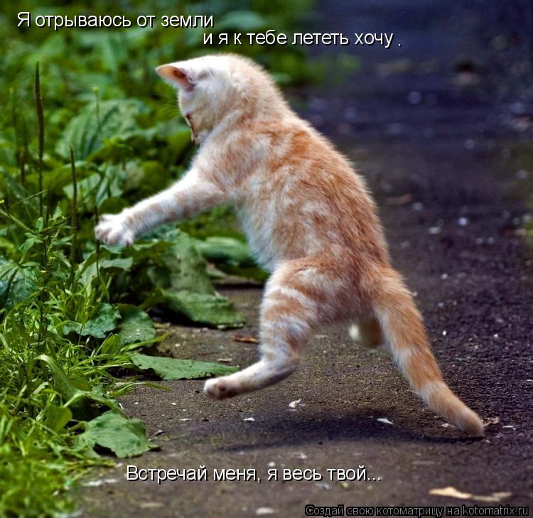Я отрываюсь от земли и я к тебе лететь хочу . Встречай меня, я весь твой...... Котоматрица: Я отрываюсь от земли и я к тебе лететь хочу . Встречай меня, я весь твой...