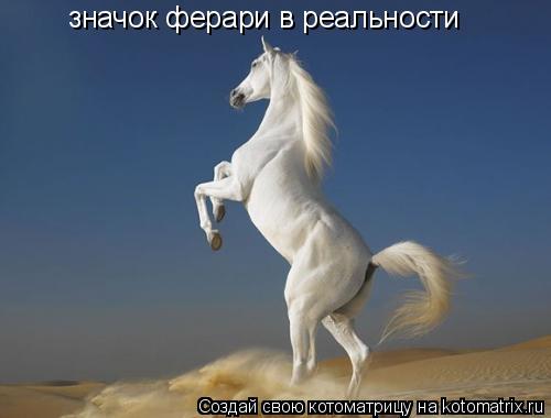 значок ферари в реальности... Котоматрица: значок ферари в реальности
