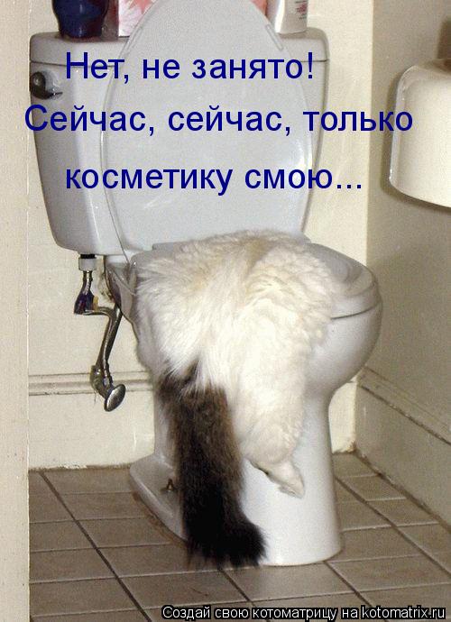 Сейчас, сейчас, только косметику смою... Нет, не занято!... Котоматрица: Сейчас, сейчас, только косметику смою... Нет, не занято!