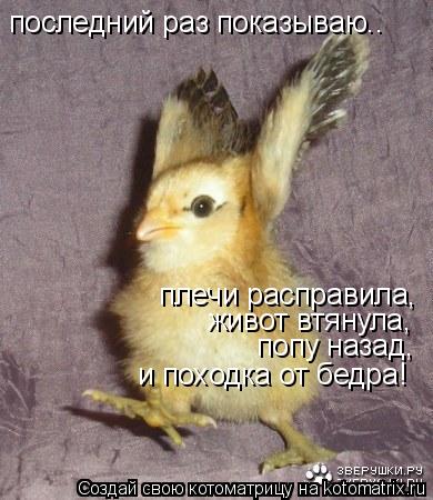 последний раз показываю.. плечи расправила, живот втянула, попу назад, и походка от бедра!... Котоматрица: последний раз показываю.. плечи расправила, живот втянула, попу назад, и походка от бедра!