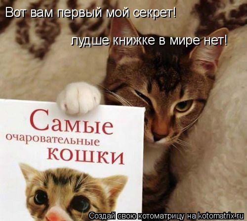 Котоматрица: Вот вам первый мой секрет! лудше книжке в мире нет!