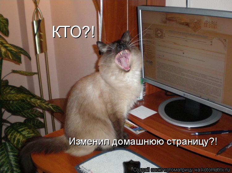 Котоматрица: КТО?! Изменил домашнюю страницу?!