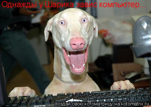 Котоматрица: Однажды у Шарика завис компьютер...