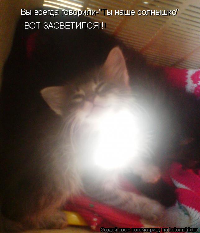 Котоматрица: Вы всегда говорили-"Ты наше солнышко" ВОТ ЗАСВЕТИЛСЯ!!!
