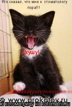 Котоматрица: Кто сказал, что мне к  стоматологу пора!!! Укушу! МММЯЯЯУУУУУУУ!!!!!!!!!!!!!!!!!!!!!!!