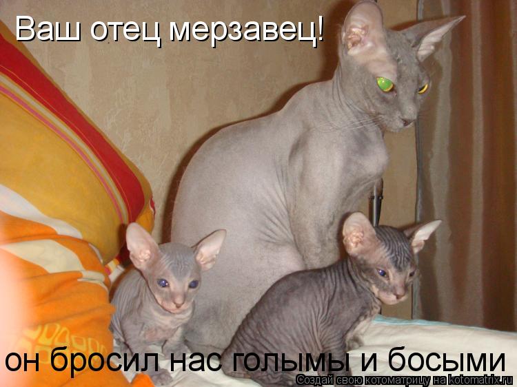 Котоматрица: Ваш отец мерзавец! Ваш отец мерзавец! он бросил нас голымы и босыми