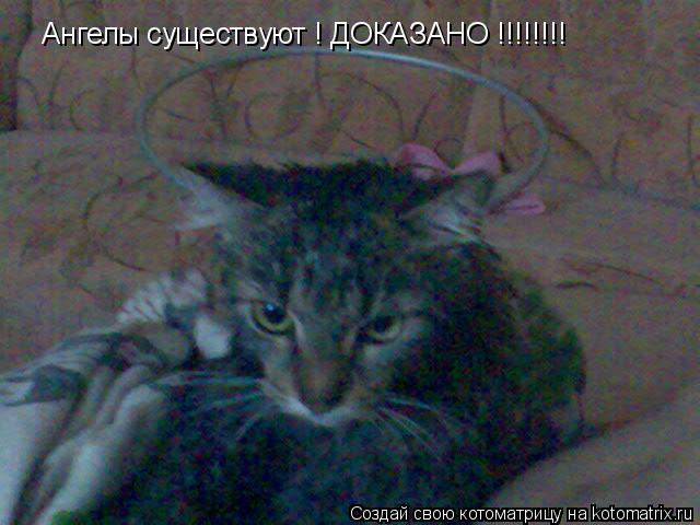 Ангелы существуют ! ДОКАЗАНО !!!!!!!!... Котоматрица: Ангелы существуют ! ДОКАЗАНО !!!!!!!!