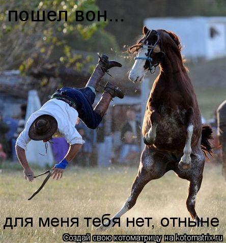 пошел вон... для меня тебя нет, отныне... Котоматрица: пошел вон... для меня тебя нет, отныне