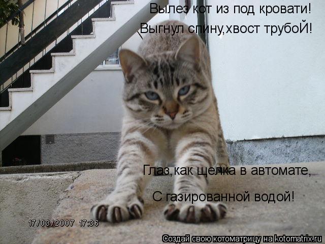 Вылез кот из под кровати! Выгнул спину,хвост трубоЙ! Глаз,как щелка в автомате, С газированной водой!... Котоматрица: Вылез кот из под кровати! Выгнул спину,хвост трубоЙ! Глаз,как щелка в автомате, С газированной водой!