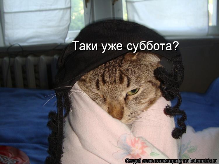 Таки уже суббота?... Котоматрица: Таки уже суббота?