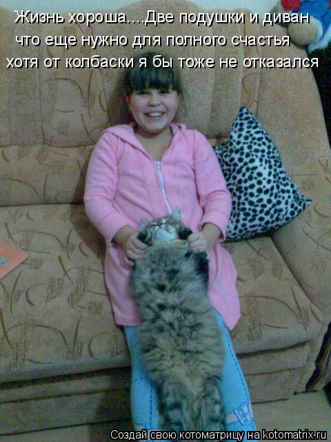 Жизнь хороша....Две подушки и диван что еще нужно для полного счастья хотя от колбаски я бы тоже не о... Котоматрица: Жизнь хороша....Две подушки и диван что еще нужно для полного счастья хотя от колбаски я бы тоже не отказался