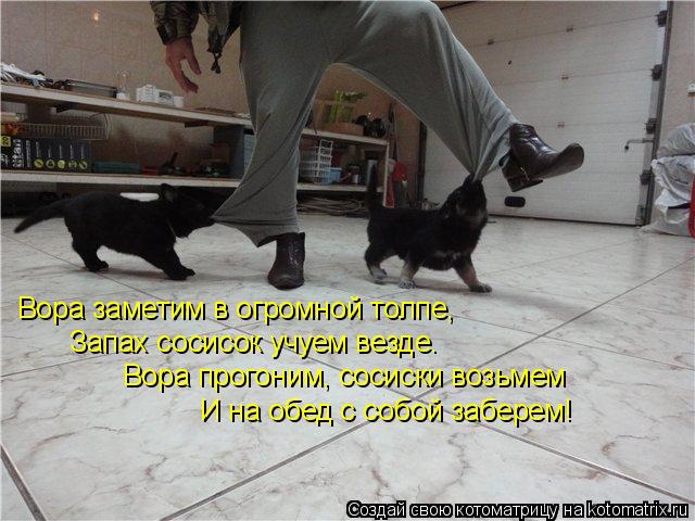 Вора заметим в огромной толпе, Запах сосисок учуем везде. Вора прогоним, сосиски возьмем И на обед с ... Котоматрица: Вора заметим в огромной толпе, Запах сосисок учуем везде. Вора прогоним, сосиски возьмем И на обед с собой заберем!