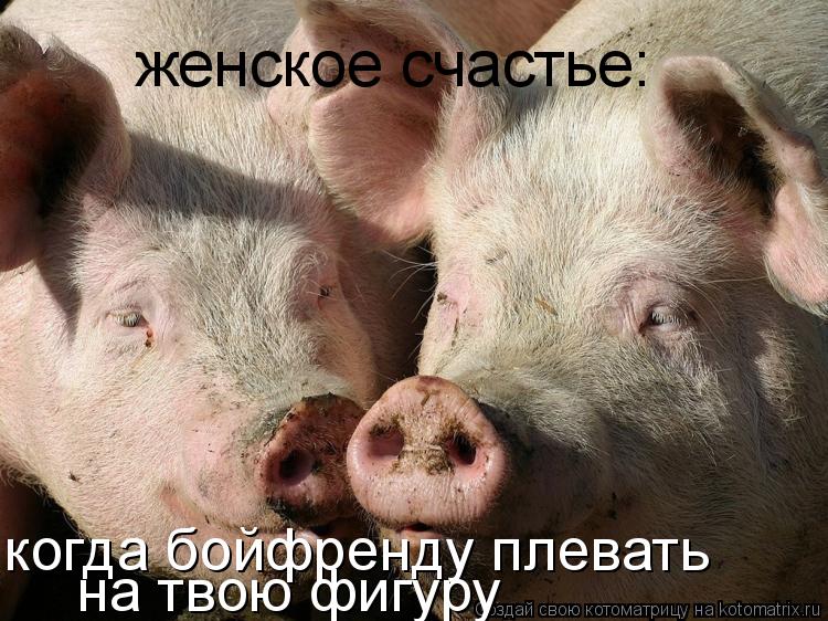 женское счастье: когда бойфренду плевать на твою фигуру... Котоматрица: женское счастье: когда бойфренду плевать на твою фигуру