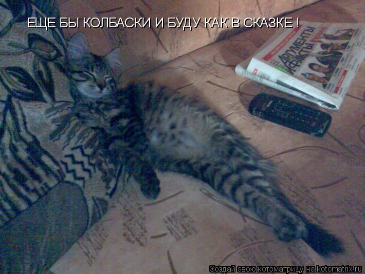 ЕЩЕ БЫ КОЛБАСКИ И БУДУ КАК В СКАЗКЕ !... Котоматрица: ЕЩЕ БЫ КОЛБАСКИ И БУДУ КАК В СКАЗКЕ !