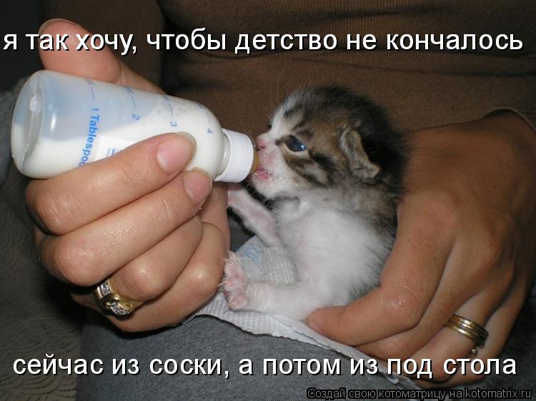 сейчас из соски, а потом из под стола я так хочу, чтобы детство не кончалось я так хочу, чтобы детств... Котоматрица: сейчас из соски, а потом из под стола я так хочу, чтобы детство не кончалось я так хочу, чтобы детство не кончалось