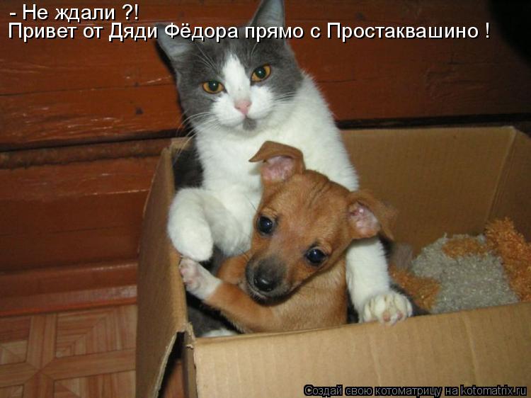 - Не ждали ?! Привет от Дяди Фёдора прямо с Простаквашино !... Котоматрица: - Не ждали ?! Привет от Дяди Фёдора прямо с Простаквашино !