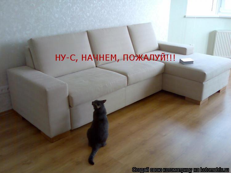 НУ-С, НАЧНЕМ, ПОЖАЛУЙ!!!... Котоматрица: НУ-С, НАЧНЕМ, ПОЖАЛУЙ!!!