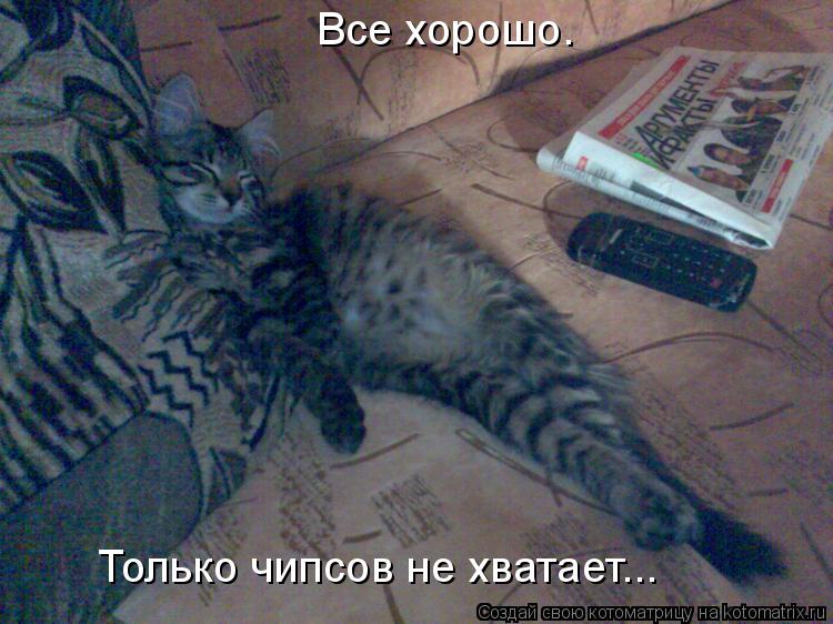 Все хорошо. Только чипсов не хватает...... Котоматрица: Все хорошо. Только чипсов не хватает...
