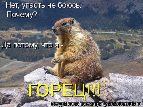Нет, упасть не боюсь. Почему? Да потому, что я - ГОРЕЦ!!!... Котоматрица: Нет, упасть не боюсь. Почему? Да потому, что я - ГОРЕЦ!!!