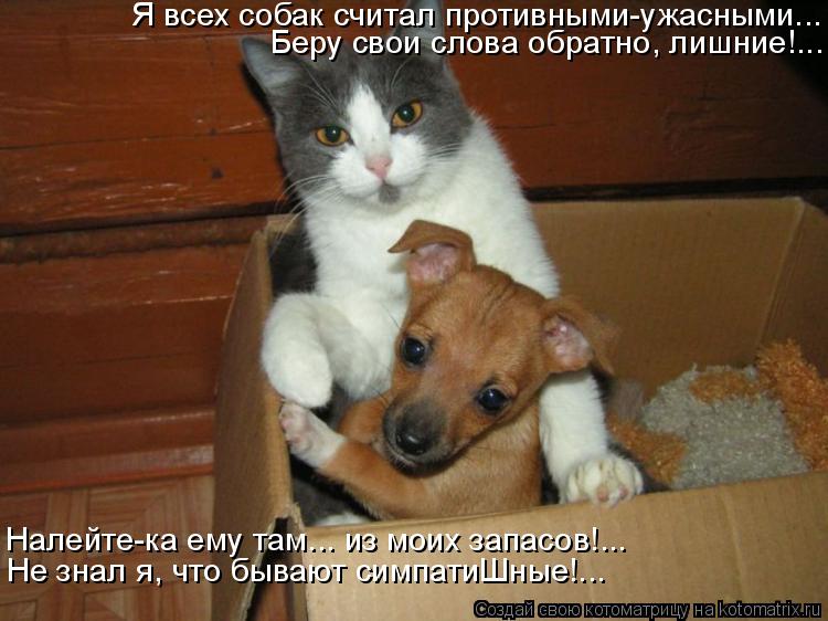 Я всех собак считал противными-ужасными... Налейте-ка ему там... из моих запасов!... Не знал я, что б... Котоматрица: Я всех собак считал противными-ужасными... Налейте-ка ему там... из моих запасов!... Не знал я, что бывают симпатиШные!... Беру свои слова обратно