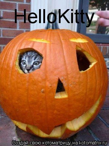 HelloKitty... Котоматрица: HelloKitty