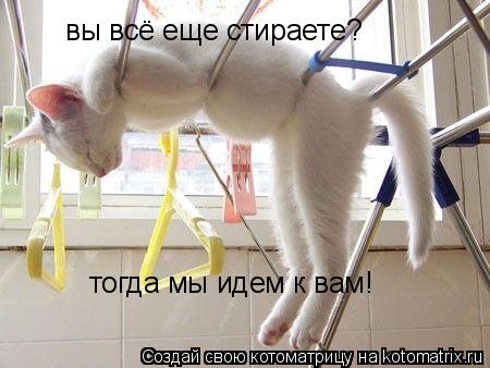 вы всё еще стираете? тогда мы идем к вам!... Котоматрица: вы всё еще стираете? тогда мы идем к вам!
