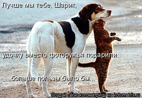 Лучше мы тебе, Шарик, удочку вместо фоторужья подарили.. больше пользы было бы...... Котоматрица: Лучше мы тебе, Шарик, удочку вместо фоторужья подарили.. больше пользы было бы...