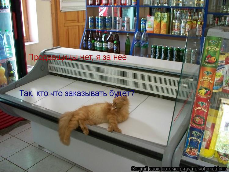 Котоматрица: Так, кто что заказывать будет? Продавщицы нет, я за нее