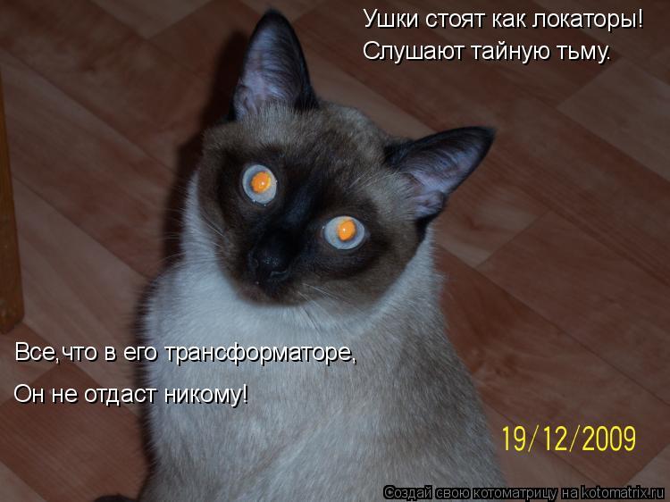 Ушки стоят как локаторы! Слушают тайную тьму. Он не отдаст никому! Все,что в его трансформаторе,... Котоматрица: Ушки стоят как локаторы! Слушают тайную тьму. Он не отдаст никому! Все,что в его трансформаторе,