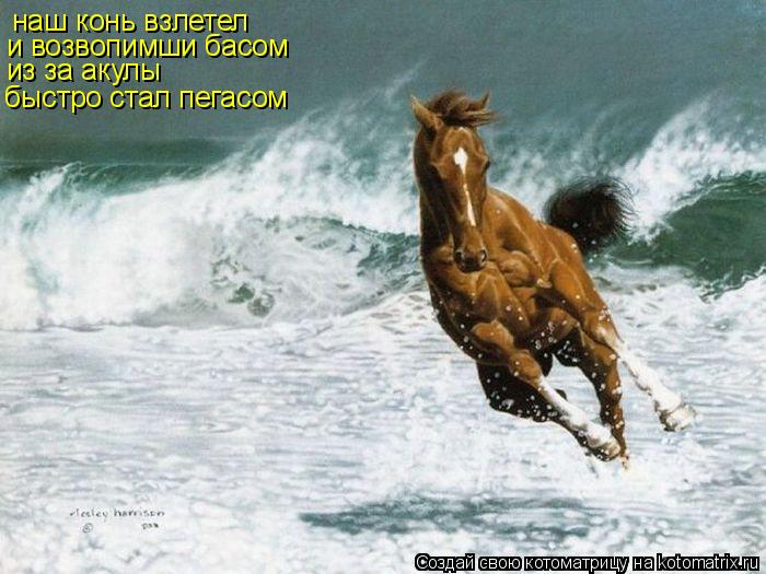 наш конь взлетел и возвопимши басом из за акулы быстро стал пегасом... Котоматрица: наш конь взлетел и возвопимши басом из за акулы быстро стал пегасом