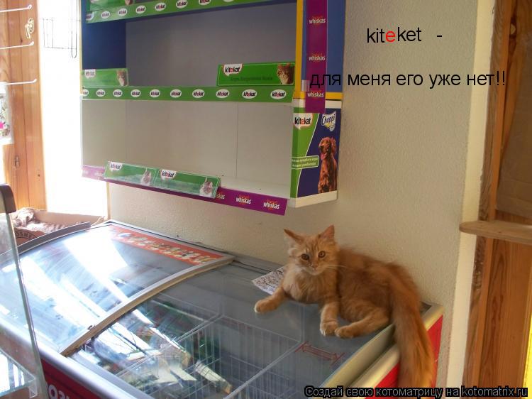 Котоматрица: kit e ket - для меня его уже нет!!