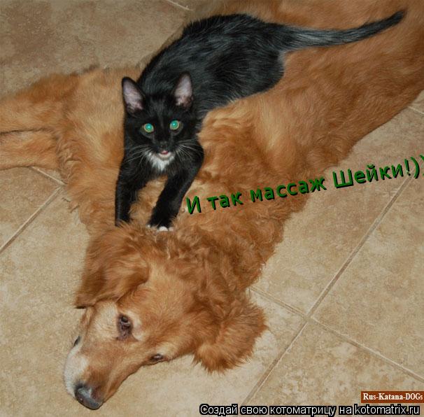 Котоматрица: И так массаж Шейки!)))