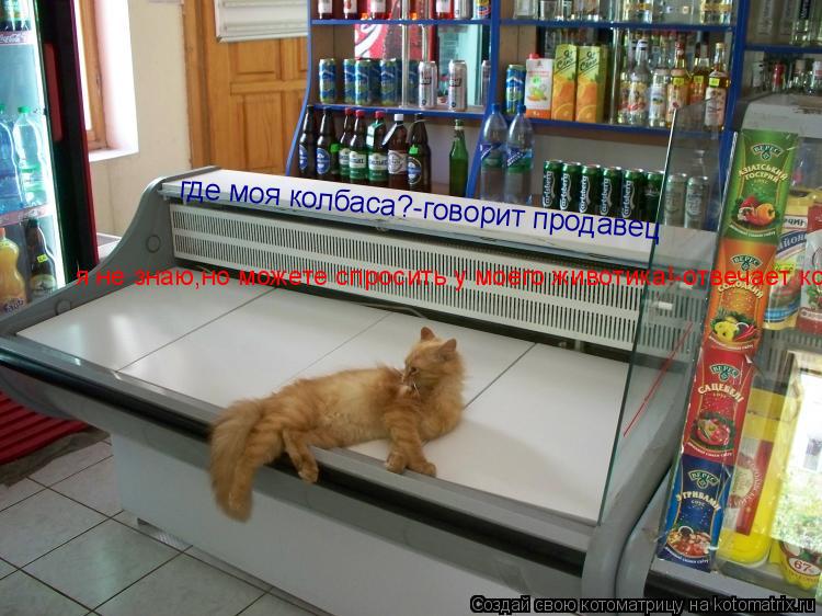 Котоматрица: где моя колбаса?-говорит продавец я не знаю,но можете спросить у моего животика!-отвечает кот
