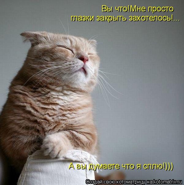-Вы,что!Я не сплю,просто глазки закрытьзахотелось!... Вы что!Мне просто глазки закрыть захотелось!...... Котоматрица: -Вы,что!Я не сплю,просто глазки закрытьзахотелось!... Вы что!Мне просто глазки закрыть захотелось!... А вы думаете что я сплю!)))