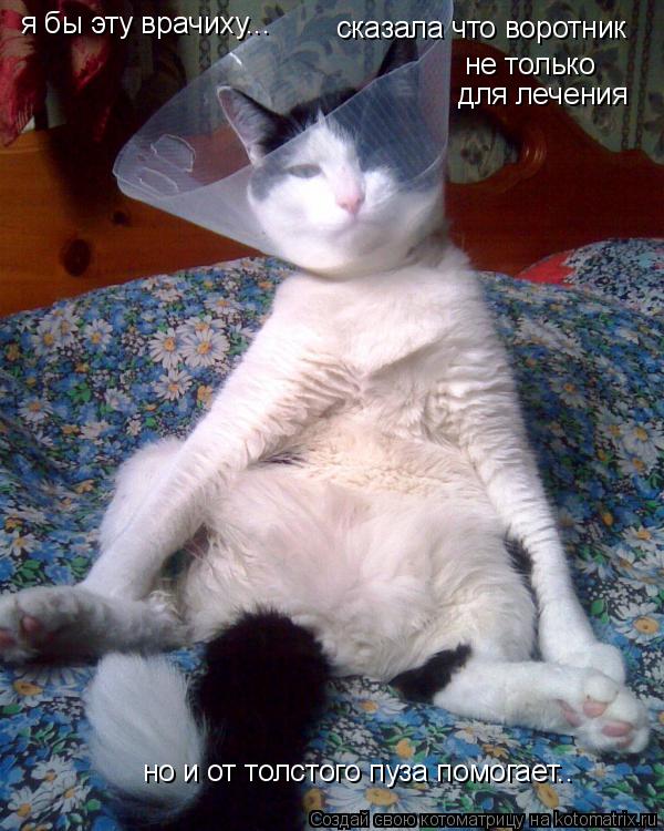 я бы эту врачиху... сказала что воротник не только для лечения но и от толстого пуза помогает..... Котоматрица: я бы эту врачиху... сказала что воротник не только для лечения но и от толстого пуза помогает..