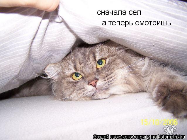 сначала сел а теперь смотришь... Котоматрица: сначала сел а теперь смотришь