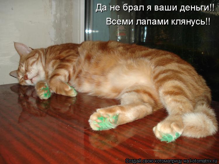 Котоматрица: Да не брал я ваши деньги!! Всеми лапами клянусь!!