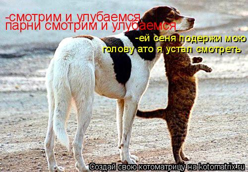Котоматрица: -смотрим и улубаемся парни смотрим и улубаемся -ей сеня подержи мою голову ато я устал смотреть