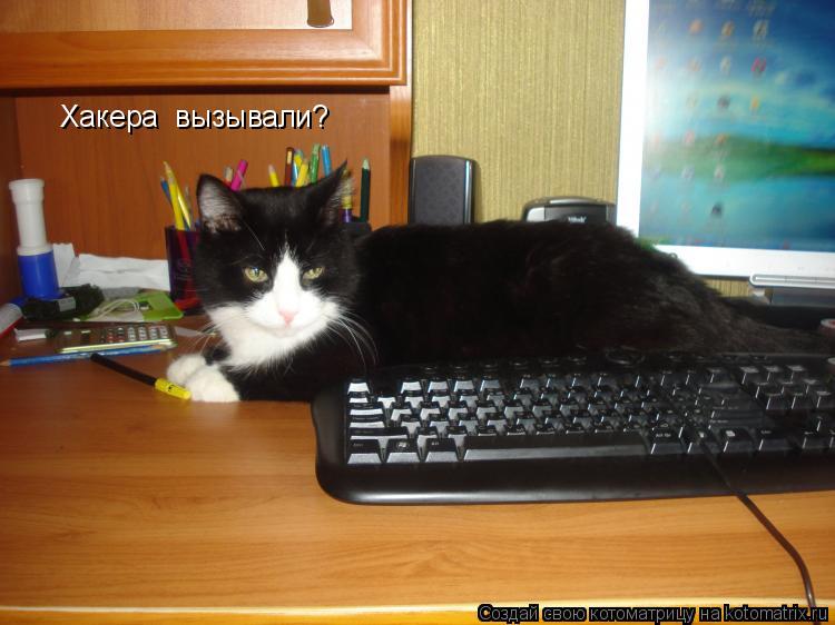 Хакера вызывали?... Котоматрица: Хакера вызывали?