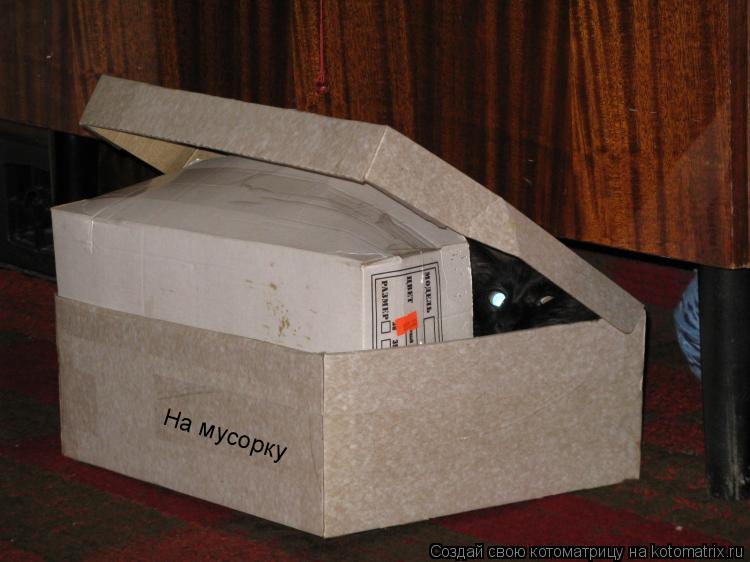 Котоматрица: На мусорку
