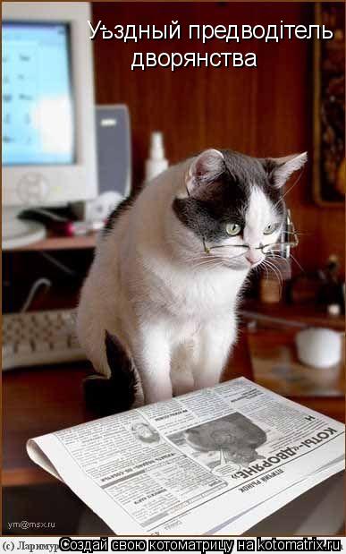 Котоматрица: Уьздный предводiтель - дворянства